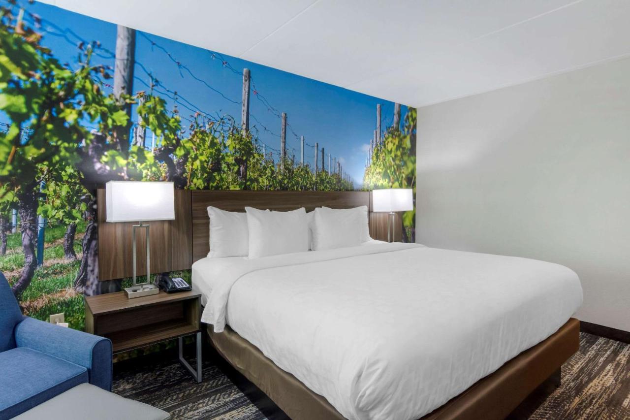 Clarion Pointe 3*